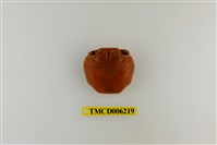 藏品(白紋方蟹)的圖片